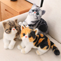 peluche-chaton