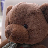 tete-ours-en-peluche