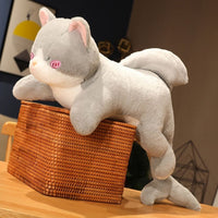 peluche-chat