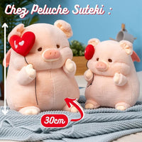 peluche-cochon-amoureux